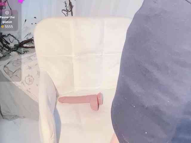 Sralet20 webcam