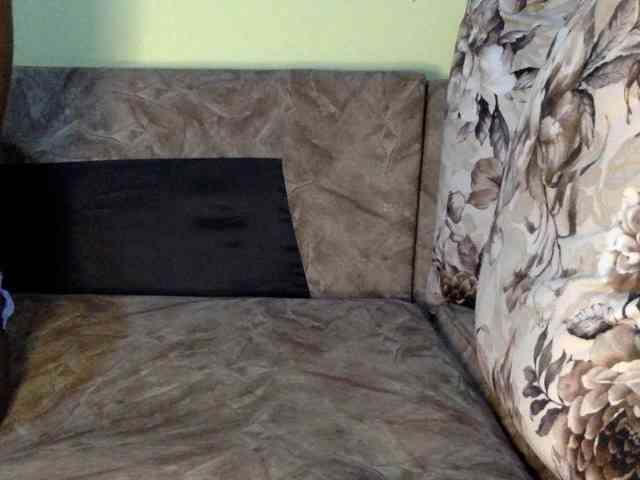trizer41 webcam