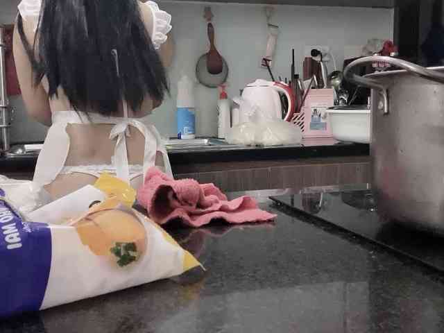 Stella-869 webcam