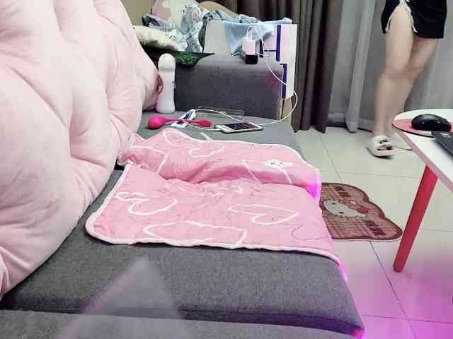 Stella-869 webcam
