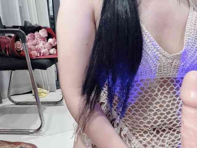 Stella-869 webcam