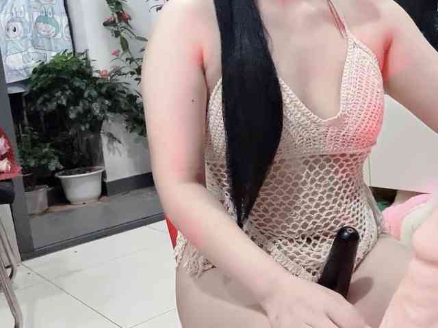 Stella-869 webcam