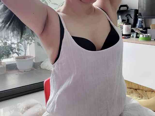 Stella-869 webcam