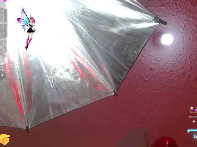 Hanna-wish webcam