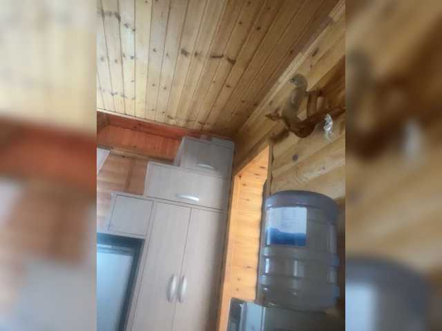 Рунетки: , секс чат бесплатно