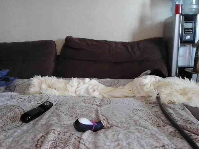 Pozhestche webcam