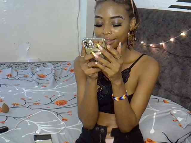 PetiteAlexa webcam
