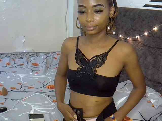PetiteAlexa webcam