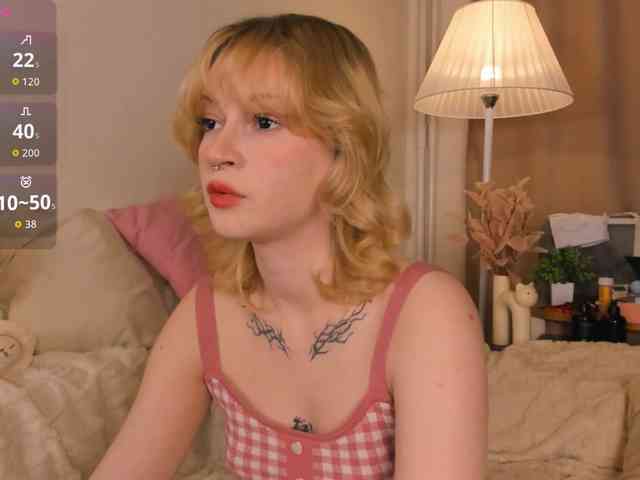 EfieFry webcam