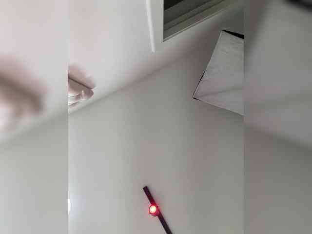 ElizHarper webcam
