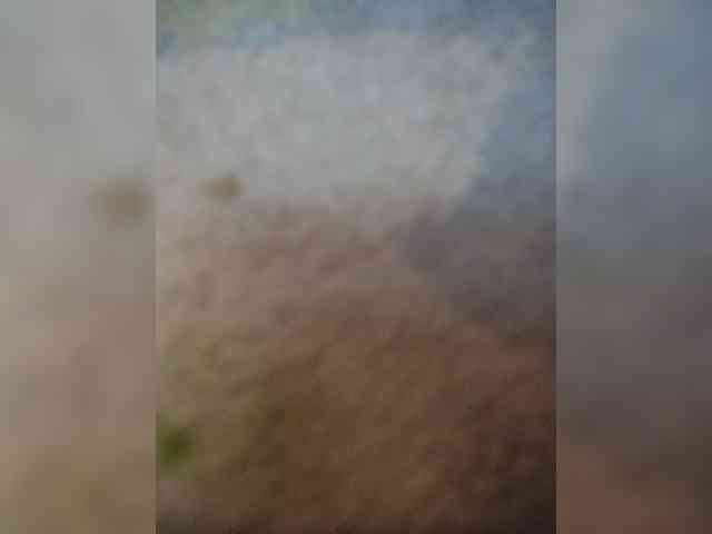 SexPara696969 webcam