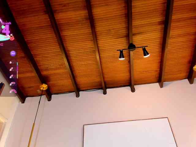 SolAvelar webcam