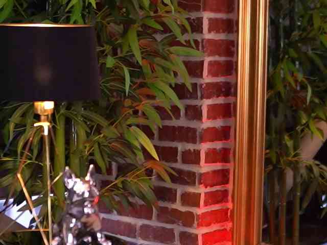 MillaSerene webcam