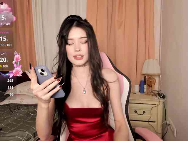 pakkminni webcam