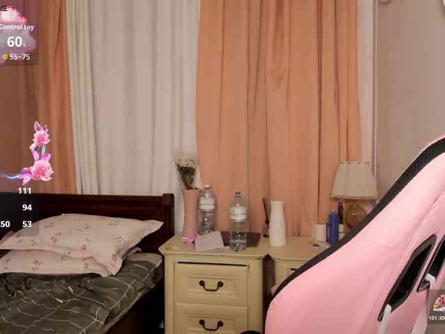 pakkminni webcam