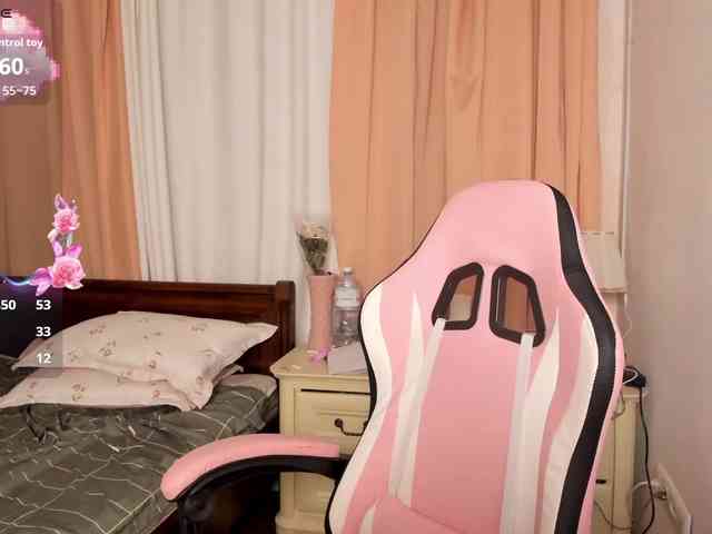 pakkminni webcam