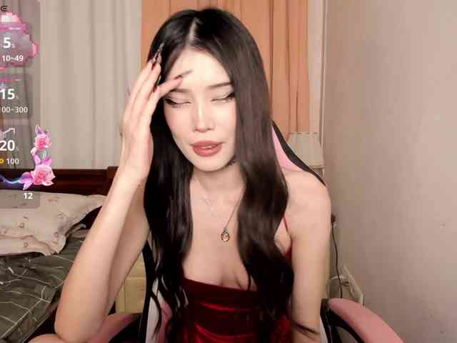 pakkminni webcam