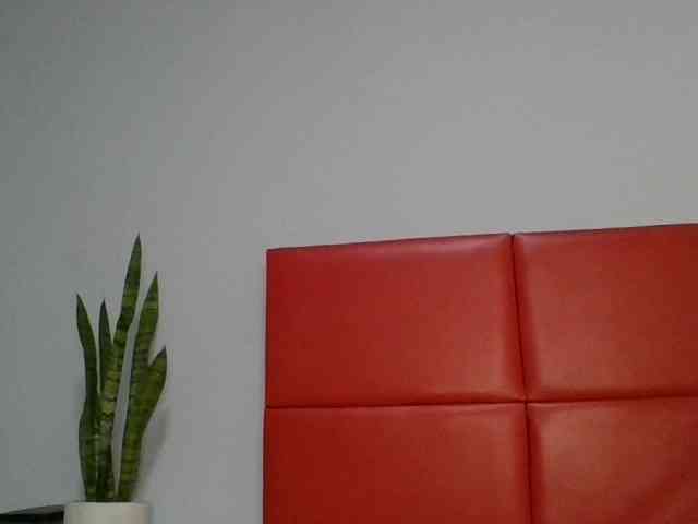 Faozia webcam