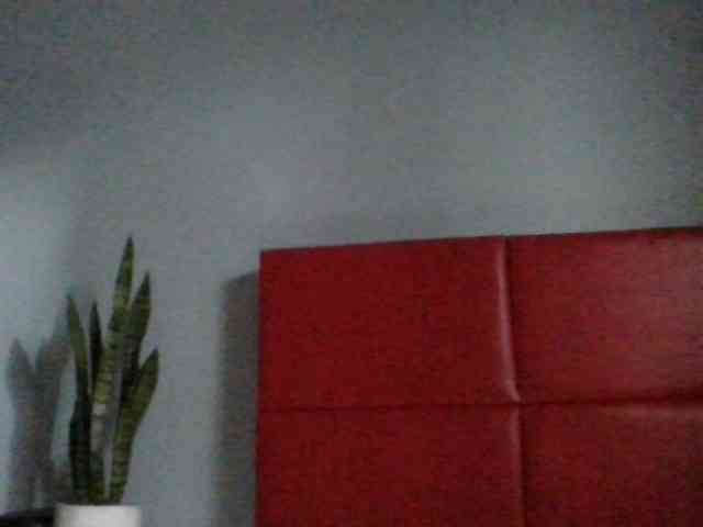 Faozia webcam