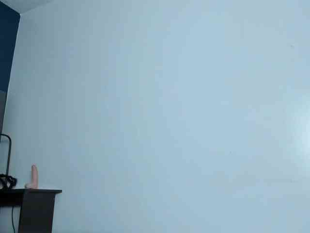 DollyWood- webcam