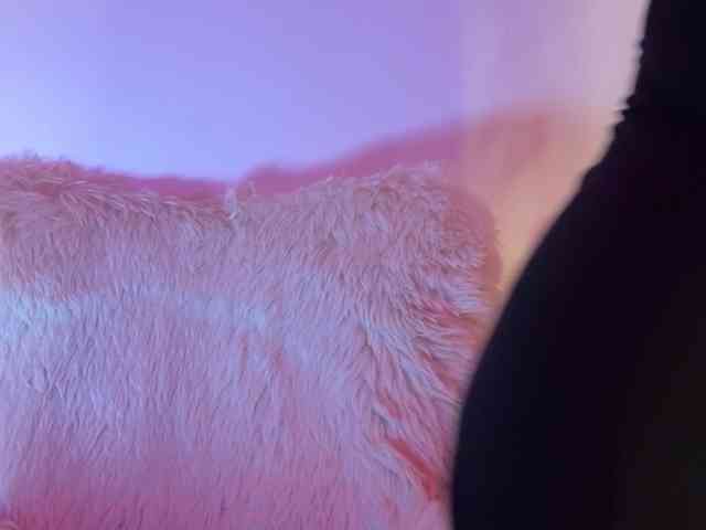claireheart webcam