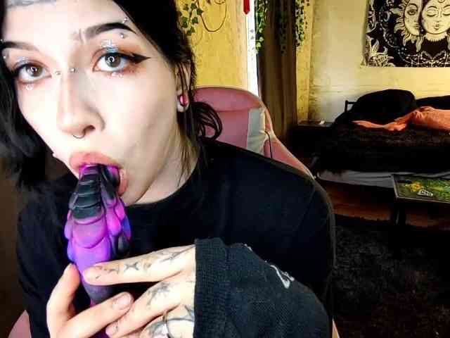 Harakassi webcam