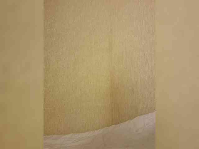 Enni1 webcam