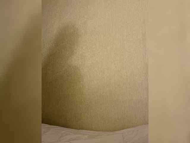 Enni1 webcam