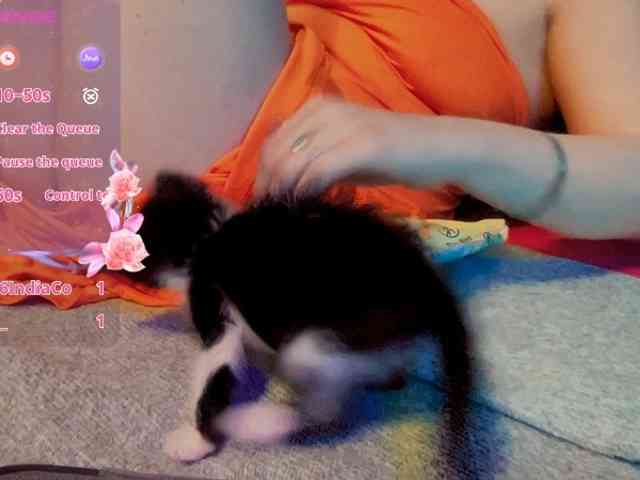 skarlett-rose webcam