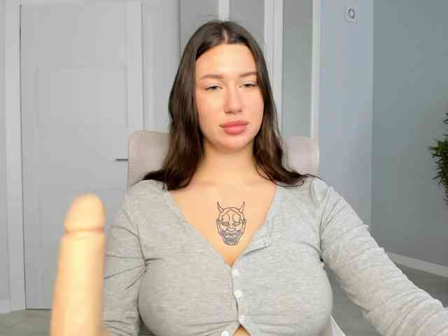 synopsiss webcam