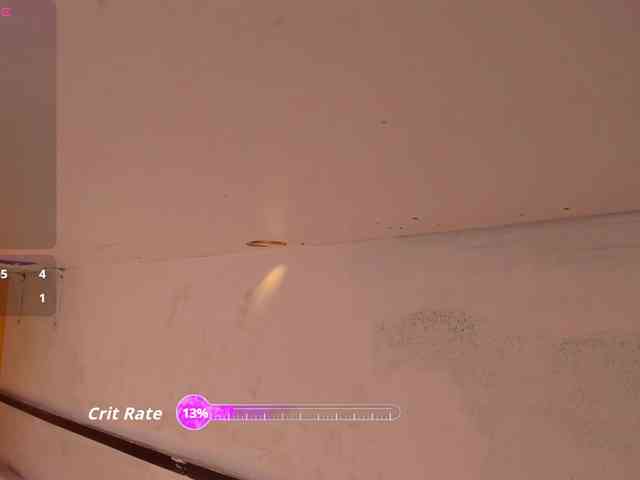 salo-funny webcam