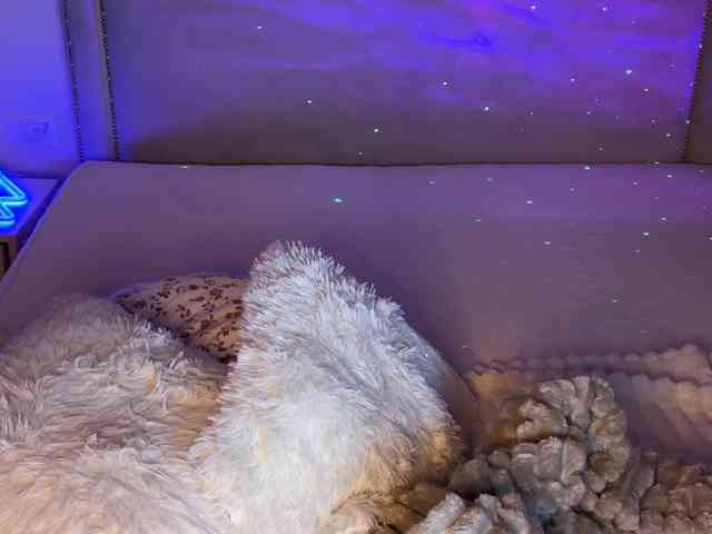 ameliamiable webcam