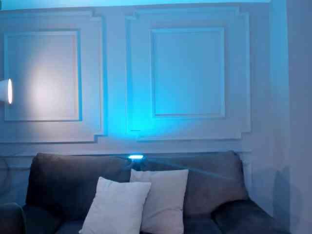 LaurentConnor webcam