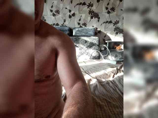 Cat-Bars69 webcam
