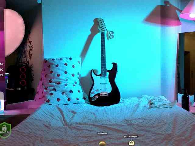SpaceDanger webcam