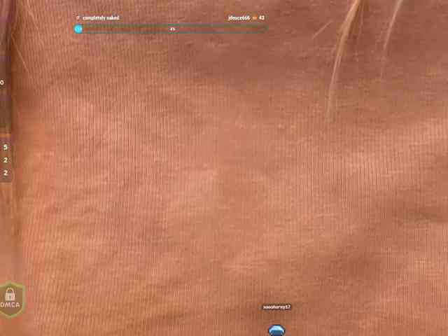 SpaceDanger webcam