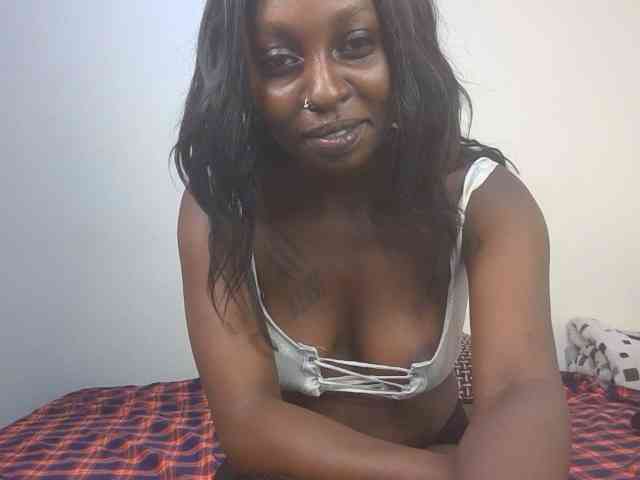 snowfox254 webcam