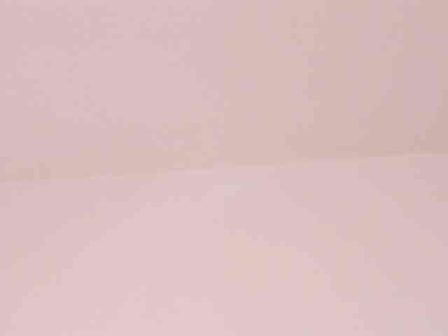 najwa webcam