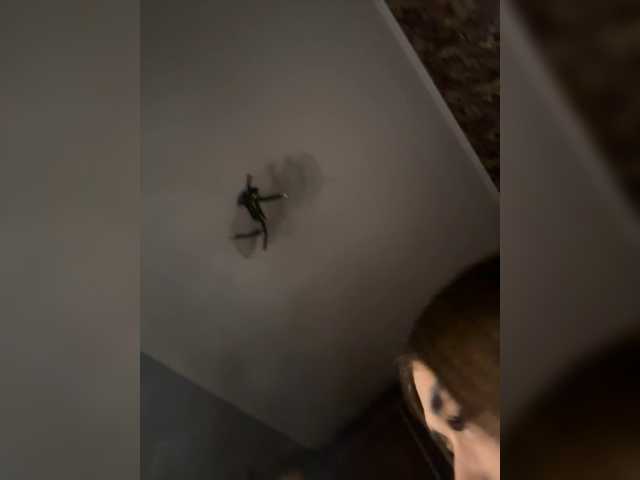 Gratis Live Sexcam mit Katia Katia