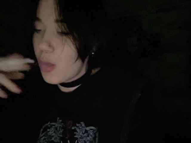 vixxings