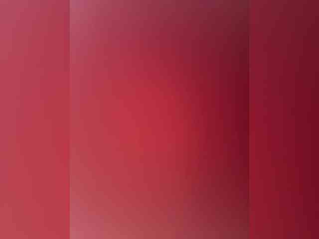 Skill1211 webcam