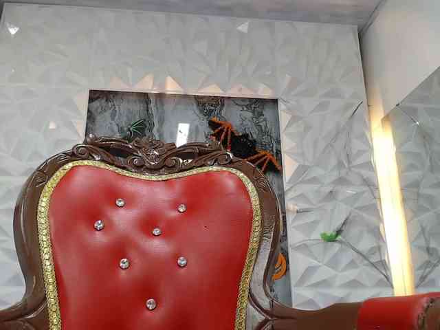 Lily-Rouse webcam