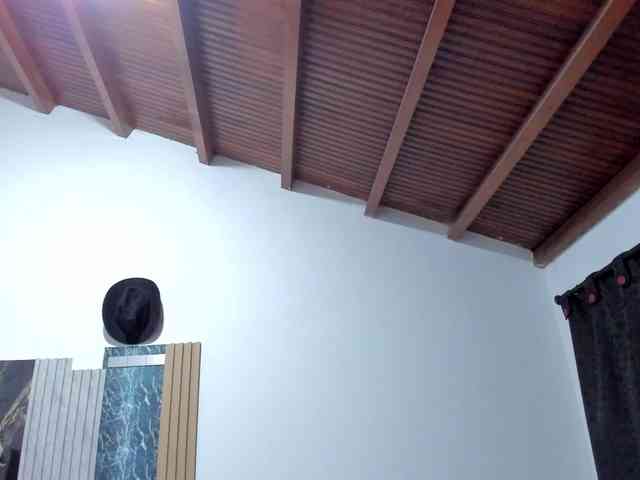 trinitix-pandora webcam