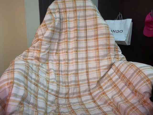 Laylac webcam