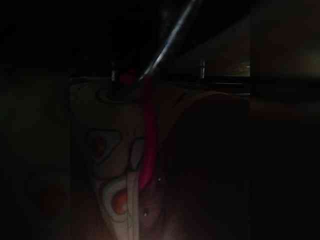 RedFox9595 webcam