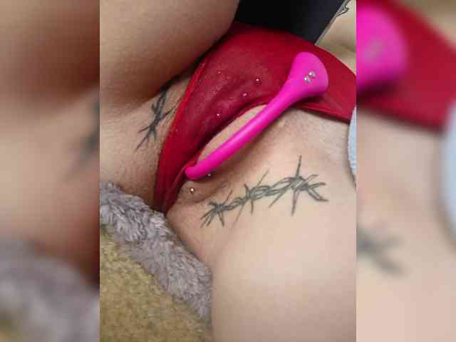 RedFox9595 webcam