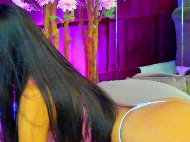 SugarMaple webcam