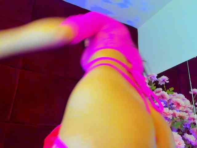 SugarMaple webcam