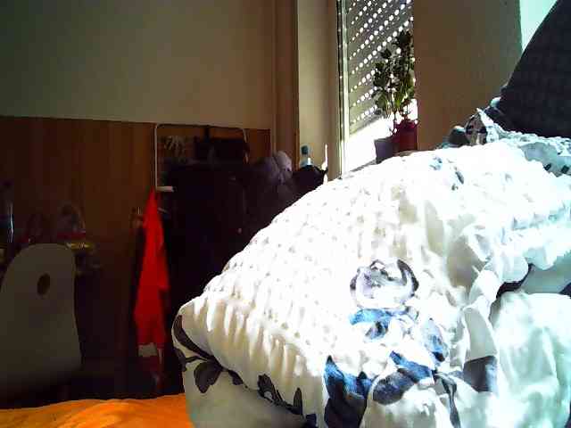 Anastasia2017 webcam