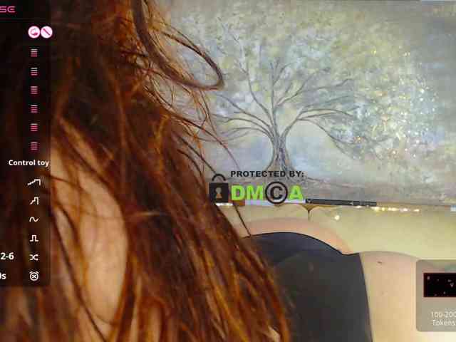 -WhoopiePie webcam